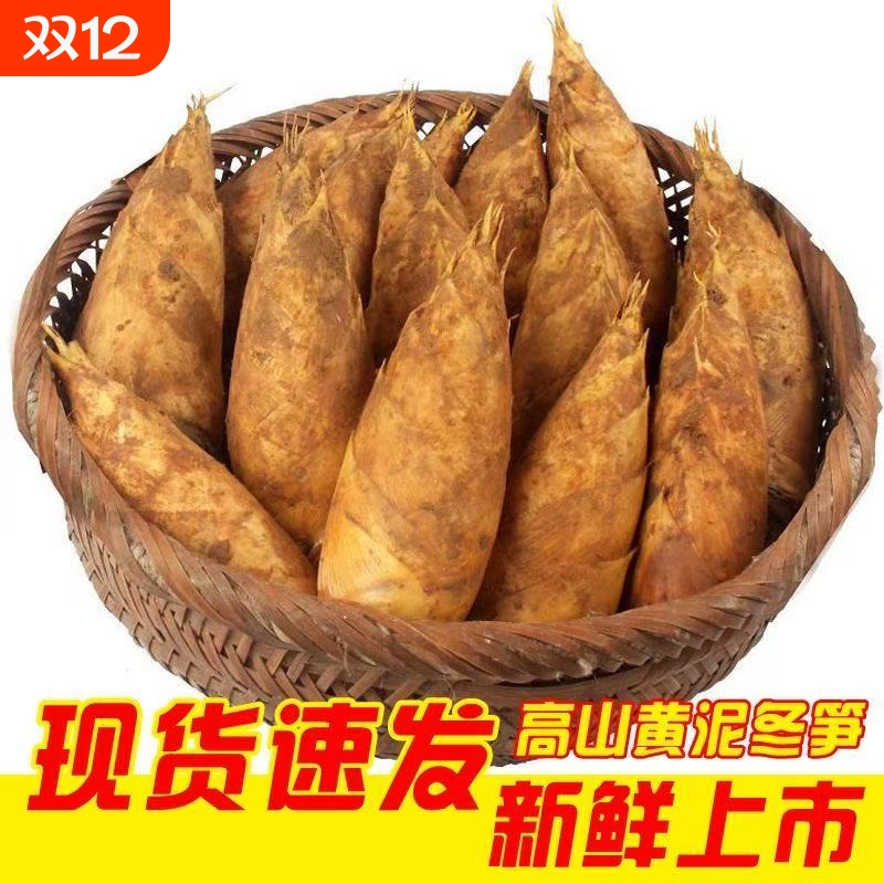 2025现货野生新鲜冬笋竹笋现挖现发江西毛竹笋黄泥拱楠竹笋