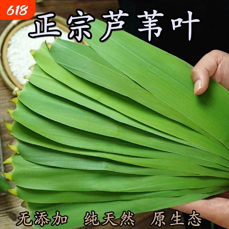 粽叶新鲜粽子叶大号野生芦苇叶特大天然老式包粽子专用农家苇叶