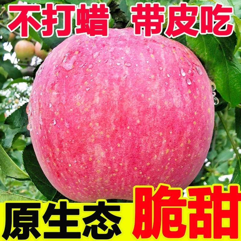 陕西当季水果新鲜脆甜红富士苹果冰糖心丑苹果平安10整箱包邮斤