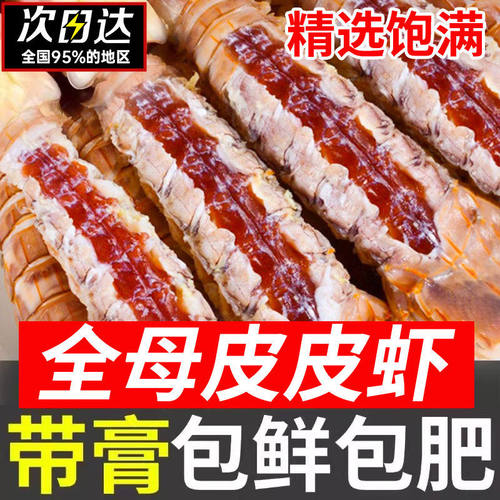 皮皮虾鲜活冷冻特大全母带膏带籽虾爬子椒盐即食濑尿海虾海鲜水产