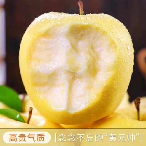 当季新鲜应季水果黄元帅苹果整箱包邮黄金奶油富士正宗现摘口感