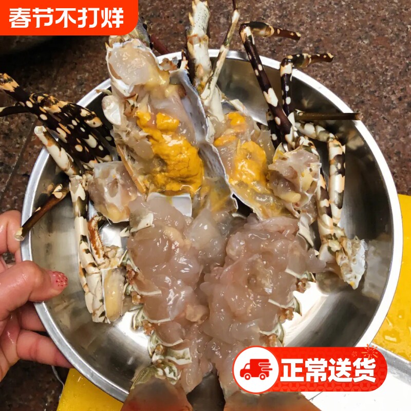 探味岛【顺丰包邮】海捕新鲜小青龙小龙虾鲜活冷冻花龙澳龙大青龙