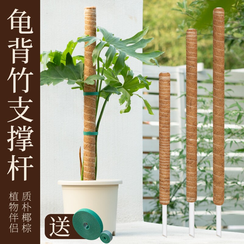 龟背竹支撑杆植物绿萝攀爬柱爬藤固定神器棕榈椰棕柱老桩防倒专用图片
