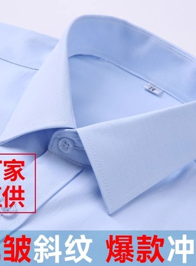 男衬衫蓝色长袖42棉商务职业正装斜纹西装上班工作服白色内搭衬衣
