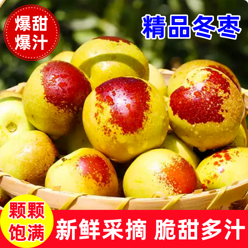 正宗冬枣脆甜新鲜大果应季整箱枣子现摘脆枣冰糖大枣5斤当季水果