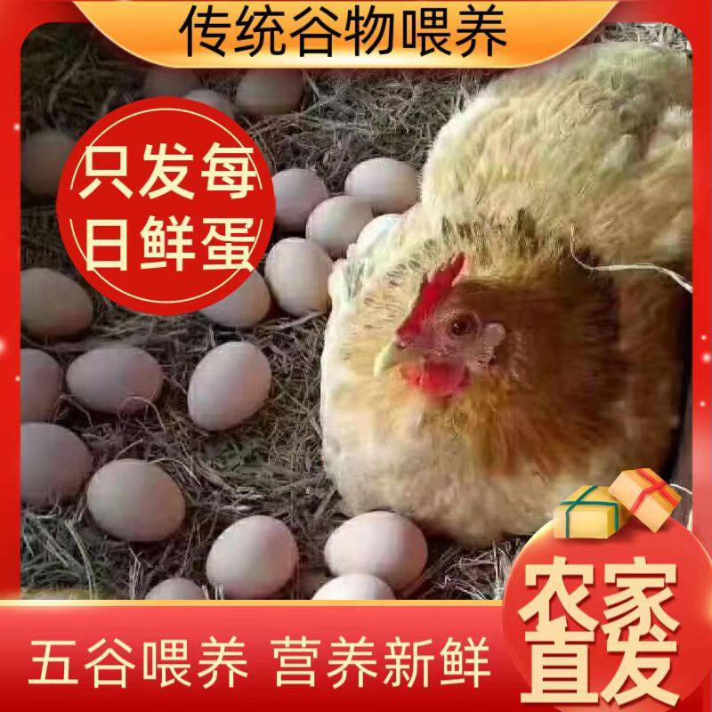 农家散养土鸡蛋每日鲜鸡蛋新鲜营养一整箱鲜土鸡蛋,水产肉类/新鲜蔬果/熟食,鸡蛋,淘宝优惠券,粉丝福利购,淘宝优惠卷