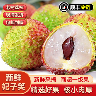 妃子笑荔枝新鲜包装4.5斤3现摘大果当应季水果孕妇广西顺丰包邮