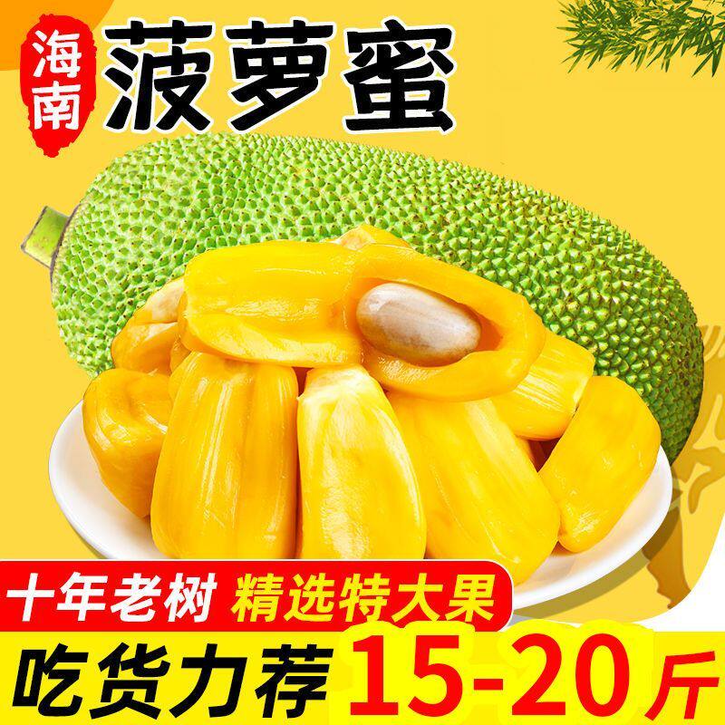 海南新鲜菠萝蜜水果包邮当季现摘黄肉波罗一整个整箱红热带大果