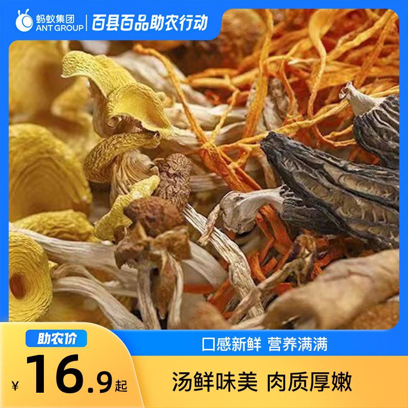 10月百县百品助农毕节织金菌菇包60克/袋