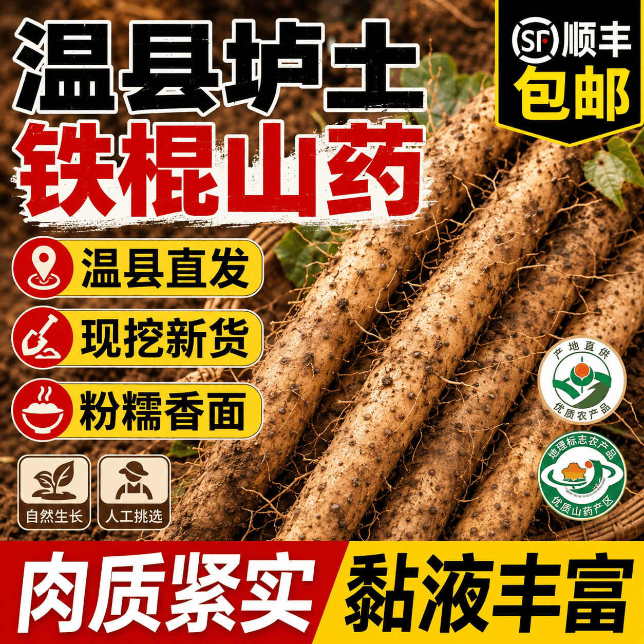 河南焦作正宗温县垆土铁棍山药中药材铁杆新鲜怀淮山药顺丰包邮