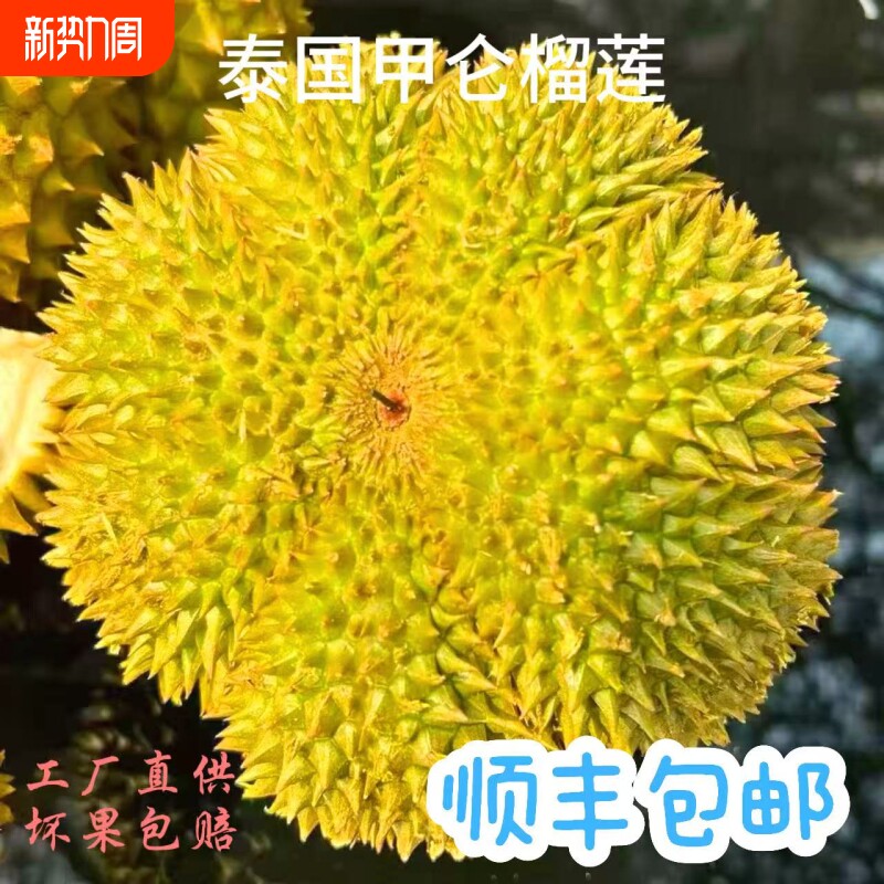 【顺丰】泰国进口甲仑榴莲鲜果单果4-5斤工厂直供坏果包赔