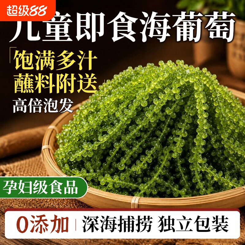 儿童海葡萄即食小孩吃的健康零食补充营养绿色鱼子酱新鲜盐渍凉拌
