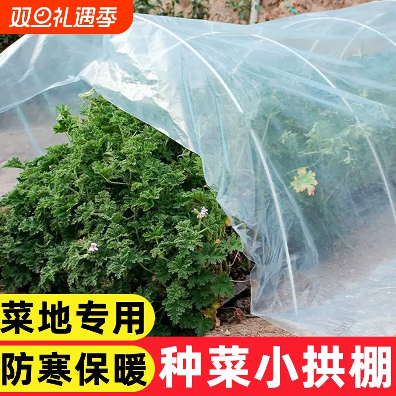 农用透明小拱棚膜种菜塑料薄膜越冬专用膜塑料纸保温地膜防寒棚膜