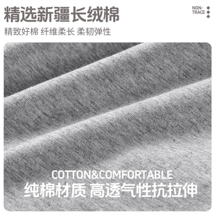 2026新款 衩全棉高腰无痕提臀收腹大码 抗菌 纯棉三角短裤 女士内裤