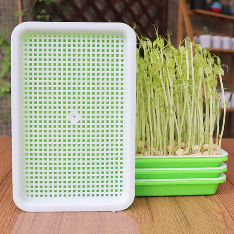 豆芽盆AB1sq0-发芽盆无土栽培蔬菜种植盘芽苗水培盒花生育苗盘