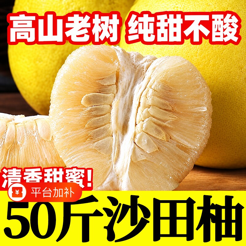 精品纯甜沙田柚【袋装】正宗梅州白心肉柚子金柚当季孕妇新鲜水果