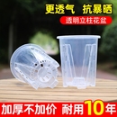 花大爷大号镂空透明透气空气柱花盆高款 树脂升级控根塑料材质花盆