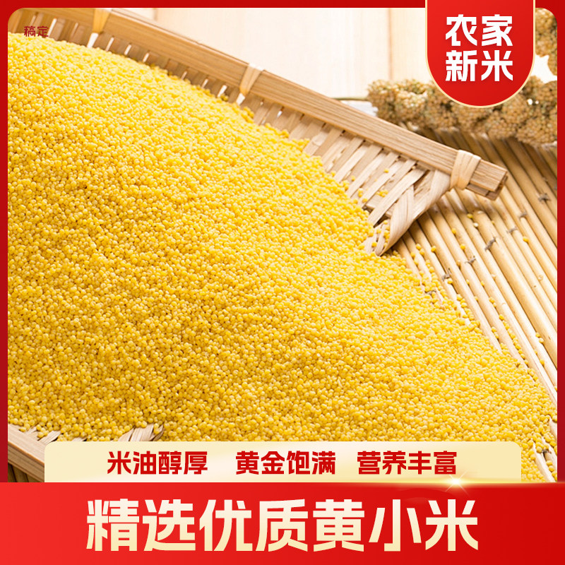 2025年新米糯黄小米煮粥新鲜黏稠营养粥米杂粮早餐