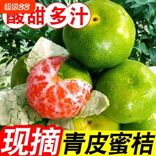 正宗云南青皮蜜橘5斤新鲜水果当季酸甜蜜桔柑橘桔子孕妇大果整箱