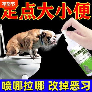训练狗狗定点排便神器宠物小狗上厕所大小便用诱导剂中型犬幼犬