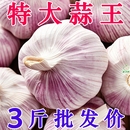 山东金乡紫皮大蒜头干蒜5斤3斤批发2025新鲜蒜头籽斤农家蒜子s