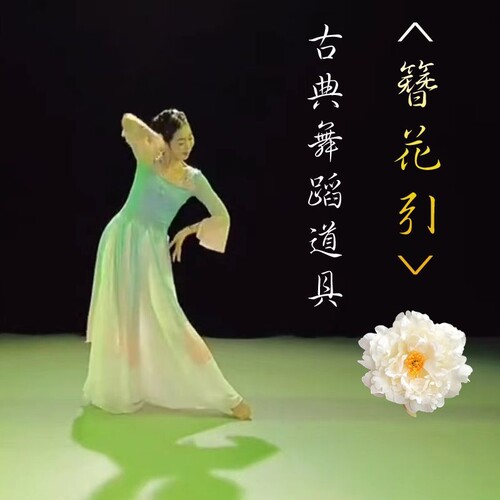 古典舞簪花引舞蹈手花可嘴刁