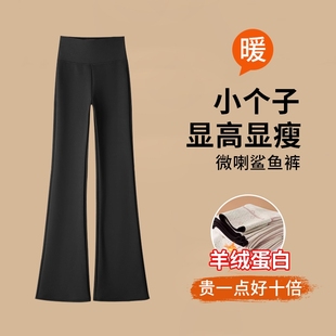 芭比马蹄裤 高腰显瘦鲨鱼喇叭裤 女外穿春秋款 150小个子微喇瑜伽裤