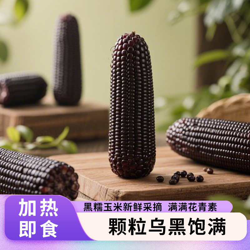 黑糯玉米软糯鲜香健康粗粮早餐当季新鲜玉米