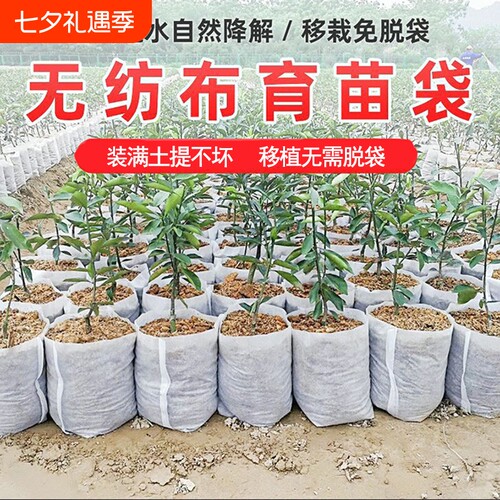 无纺布植树袋结实耐用