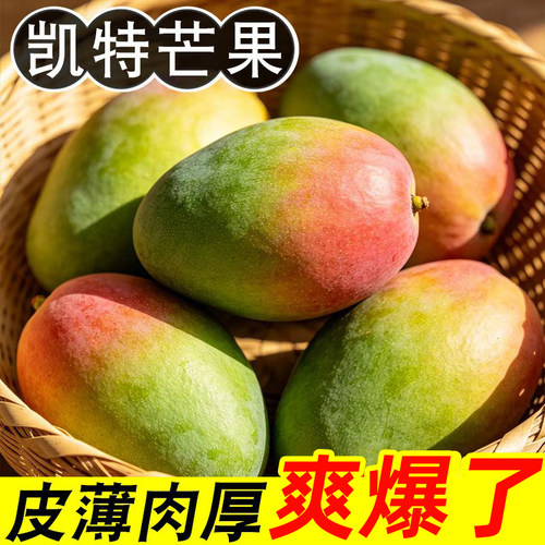 催熟四川攀枝花凯特芒果1斤起新鲜大芒果当季水果果肉现摘配送