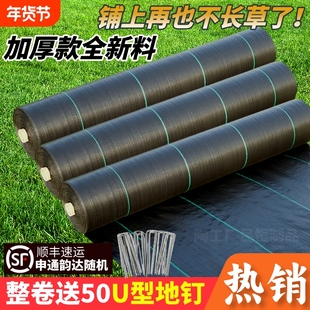 防草布农用加厚遮草布果园盖草布园艺地布厂家直销地钉地膜
