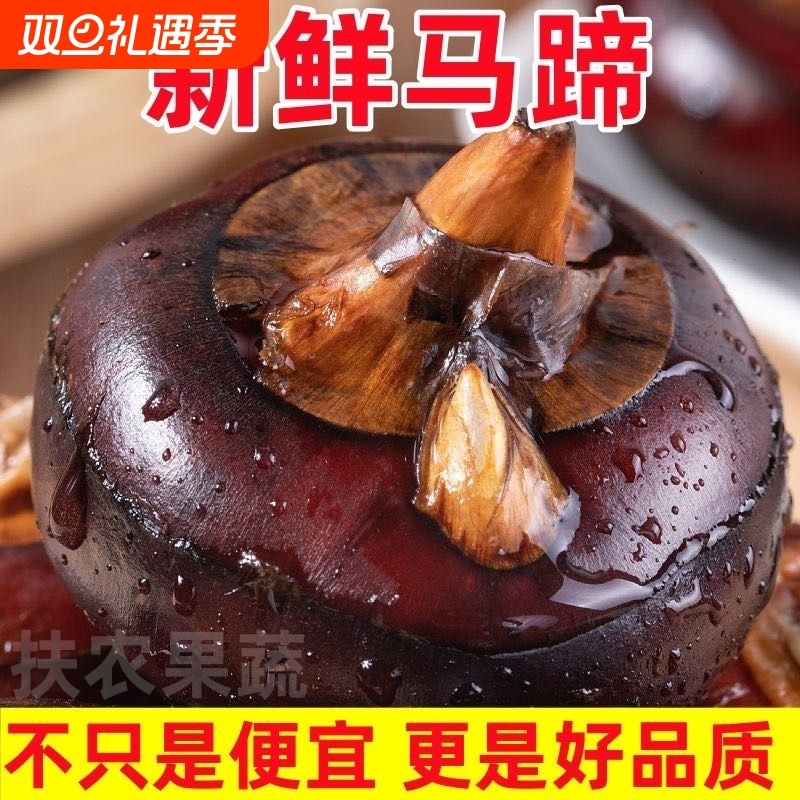 新鲜荸荠地栗农家自种马蹄