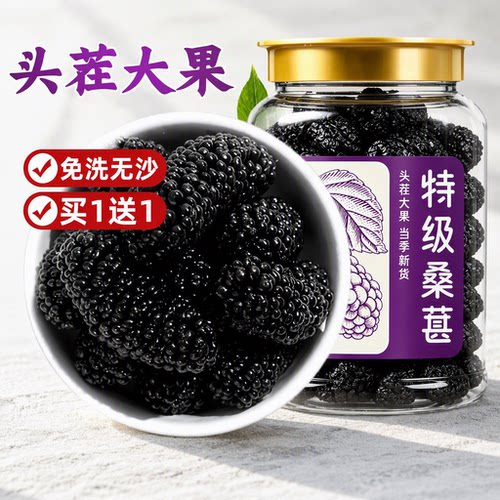 大号特级桑葚四川黑桑椹干泡酒水