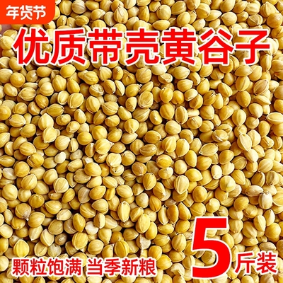 带壳黄谷子鸟粮小鸟食有壳带皮小米鹦鹉饲料虎皮玄风中小型专用粮
