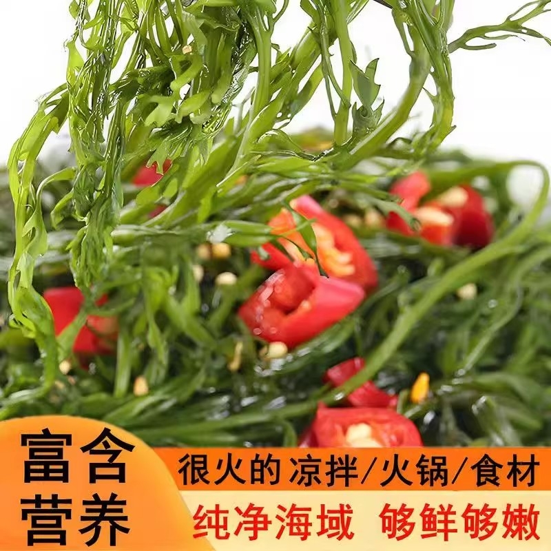 笋海草马尾藻海藻菜麻辣烫火锅食材凉拌海带苗海味海产品海鲜