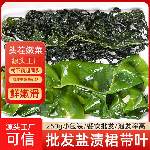 新鲜裙带菜盐渍海白菜海带苗嫩芽半干货火锅韩国海带汤火锅烫三秒