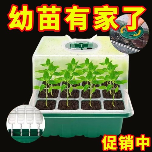 保温育苗箱高盖扦插盆播种育苗闷养盒叶插穴盘多肉叶插款种子加高