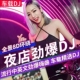 汽车载u盘柏林之声无损品质2024网红d亅歌曲车用mp3音乐优盘高清