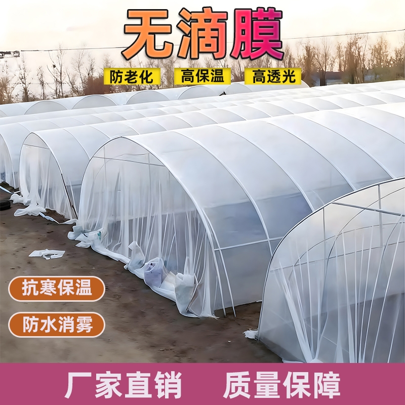 无滴膜进口白色长寿大棚膜高透光抗老化保温消雾加厚蔬菜塑料薄膜