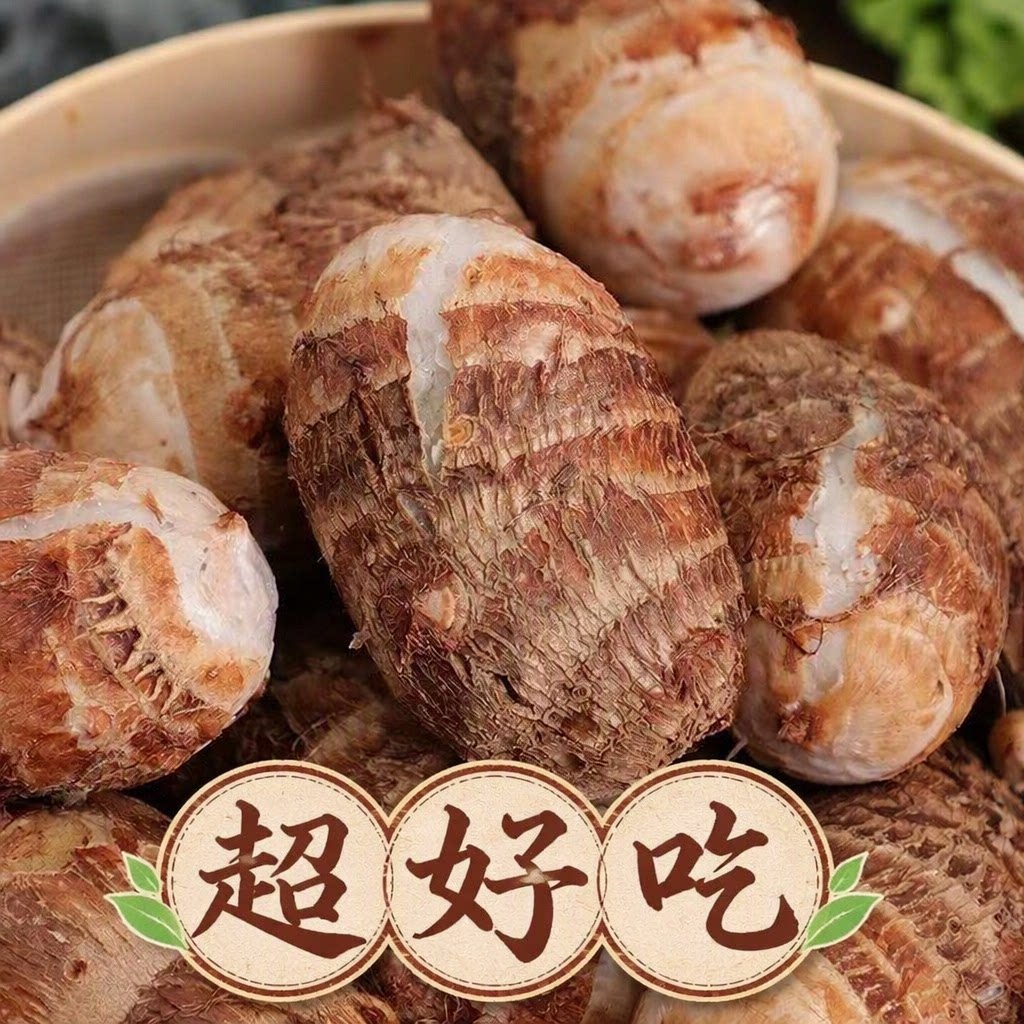 云南牛奶芋头新鲜高山当季现挖毛小毛农家蔬菜奶香粗粮美食直发