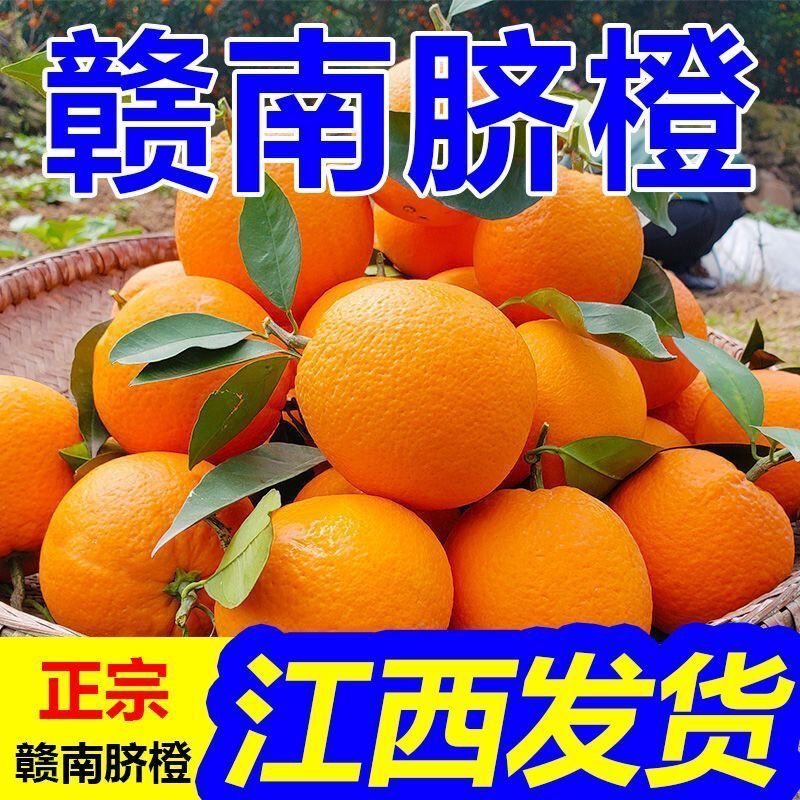 【精品彩箱】正宗赣南橙脐新鲜江西橙子薄皮新鲜现摘水果整箱批发,水产肉类/新鲜蔬果/熟食,橙,淘宝优惠券,粉丝福利购,淘宝优惠卷