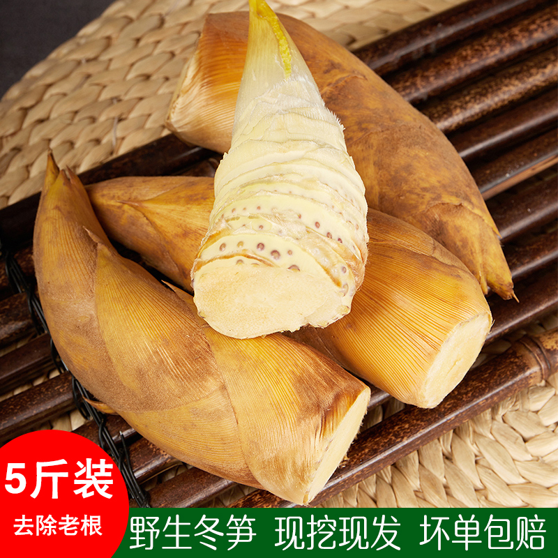 2025年新鲜冬笋黄泥竹笋野生现挖春笋火锅嫩笋尖江西农家水煮冬笋