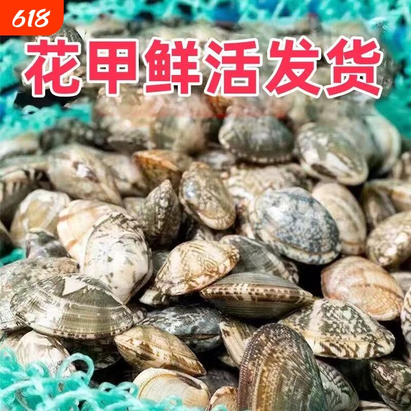 海鲜花甲鲜活花蛤蜊花蚬子杂色蛤蜊野生贝类批发锡纸花甲新鲜吐沙