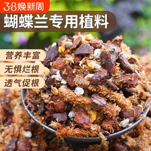 蝴蝶兰专用土盆栽种植松树皮毛毛虫水苔透气料颗粒文心石斛兰花土