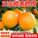6块！正宗江西赣南脐橙净重4.5斤