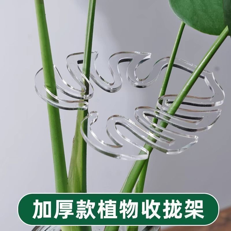 龟背竹支撑杆花支撑架枝干收拢架植物防倒伏支架绿植固定塑料神器