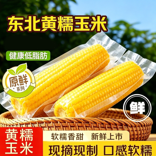 东北新鲜黄糯玉米真空装加热即食粘苞米粒甜糯玉米香甜新鲜黄玉米