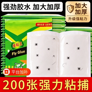 苍蝇贴粘蝇板强力粘蝇纸诱饵胶沾蚊杀手灭蝇子捕捉神器家用诱捕粘
