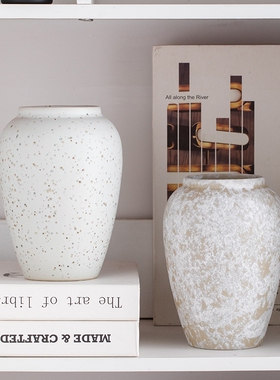 陶瓷花瓶摆件客厅插花新中式冬青装饰水培花器复古陶罐轻奢高级感