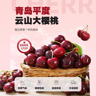 山东青岛平度云山大樱桃美早大樱桃车厘子产地现摘直发整箱水果